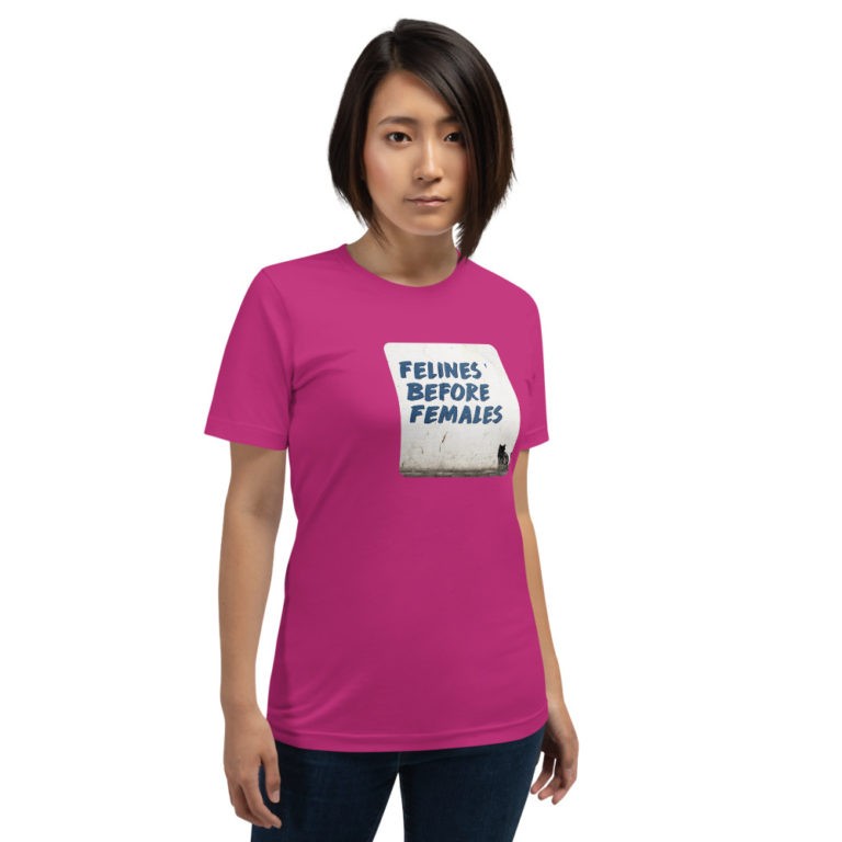Felines Before Females T-Shirt - Image 17