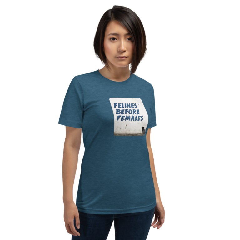 Felines Before Females T-Shirt - Image 9
