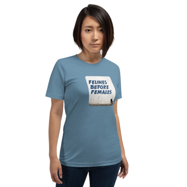 Felines Before Females T-Shirt - Image 11