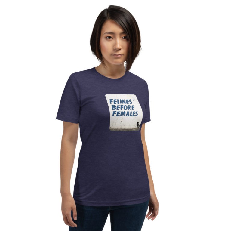Felines Before Females T-Shirt - Image 3